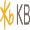 KB Financial Group Inc